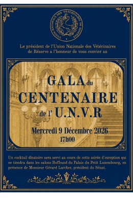 06 Centenaire UNVR.pdf